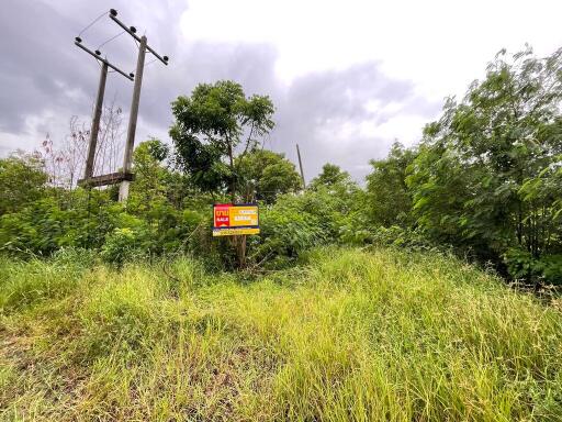 13,064 Sqm. Land listed for ฿ 5,144,000.