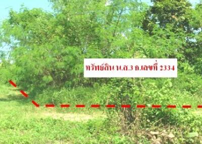 48,840 Sqm. Land listed for ฿ 5,129,000.