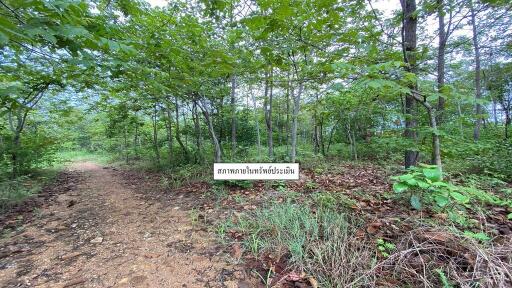 30,272 Sqm. Land listed for ฿ 4,981,000.