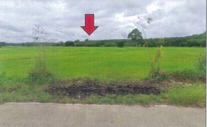 62,088 Sqm. Land listed for ฿ 4,890,000.