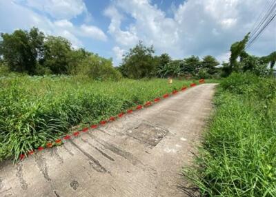 4,420 Sqm., 1 Bed Land listed for ฿ 4,641,000.