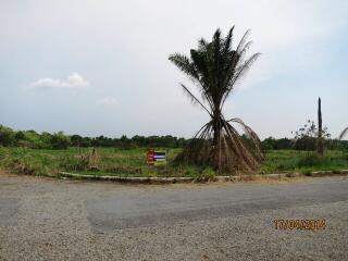 ที่ดิน ลำผักชี ราคาพิเศษ!