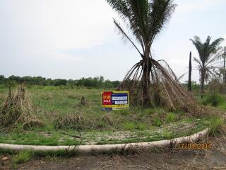 1,596 Sqm. Land listed for ฿ 4,609,000.