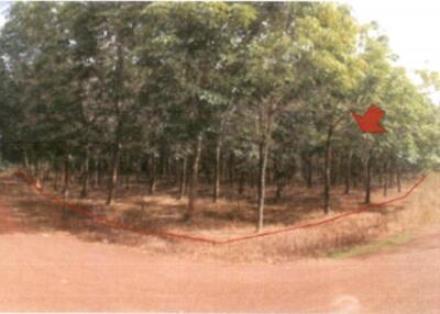 37,982 Sqm. Land listed for ฿ 4,335,000.