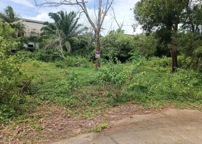 1,016 Sqm. Land listed for ฿ 3,430,000.