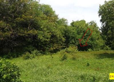 1,016 Sqm. Land listed for ฿ 3,430,000.