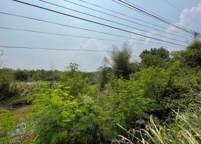 16,160 Sqm. Land listed for ฿ 3,250,000.