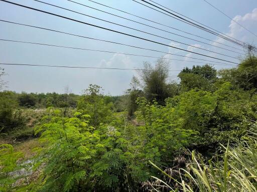 16,160 Sqm. Land listed for ฿ 3,250,000.