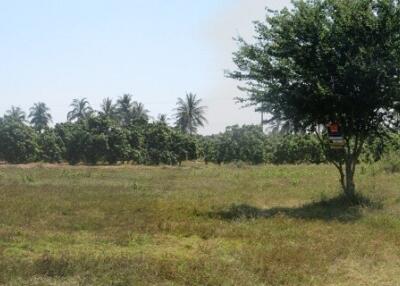 16,948 Sqm. Land listed for ฿ 4,212,000.