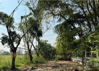 2,096 Sqm. Land listed for ฿ 3,354,000.