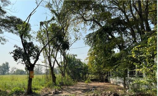 2,096 Sqm. Land listed for ฿ 3,354,000.