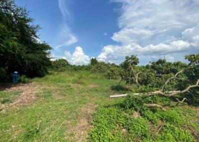 12,428 Sqm. Land listed for ฿ 3,000,000.