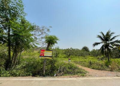 12,428 Sqm. Land listed for ฿ 3,000,000.