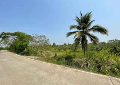 12,428 Sqm., 1 Bed Land listed for ฿ 3,000,000.