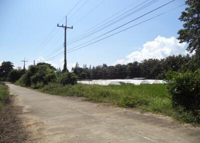 5,204 Sqm. Land listed for ฿ 4,099,000.