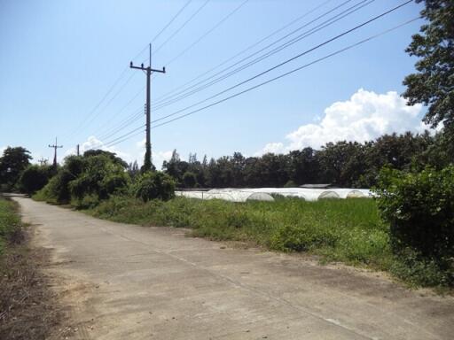 5,204 Sqm., 1 Bed Land listed for ฿ 4,099,000.
