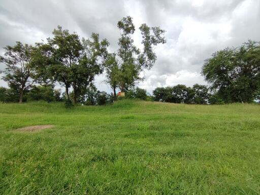 10,372 Sqm. Land listed for ฿ 4,084,000.