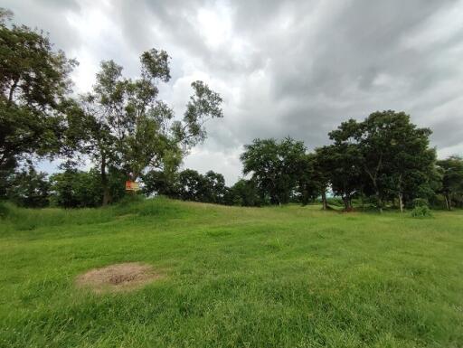 10,372 Sqm. Land listed for ฿ 4,084,000.