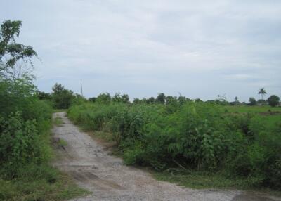 4,436 Sqm. Land listed for ฿ 4,076,000.