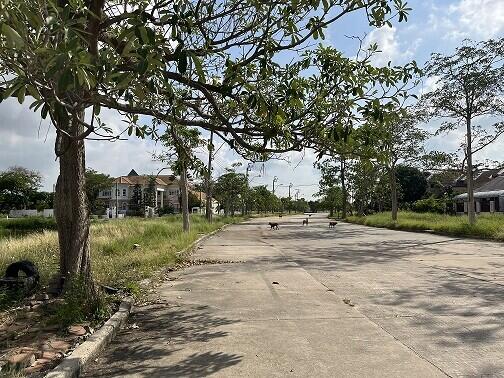 628 Sqm. Land listed for ฿ 3,454,000.