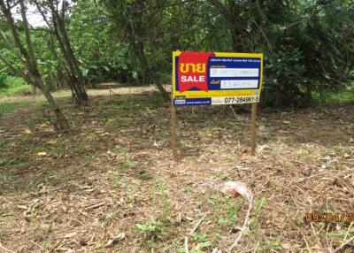 2,253 Sqm. Land listed for ฿ 3,845,000.