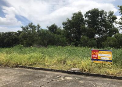 808 Sqm. Land listed for ฿ 3,818,000.