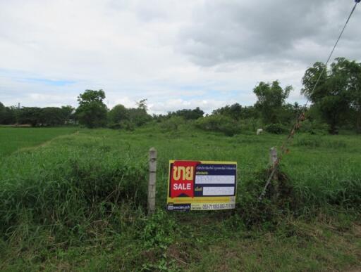 11,464 Sqm. Land listed for ฿ 2,900,000.