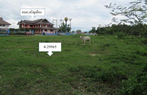 11,464 Sqm. Land listed for ฿ 2,900,000.