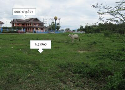 11,464 Sqm., 1 Bed Land listed for ฿ 2,900,000.