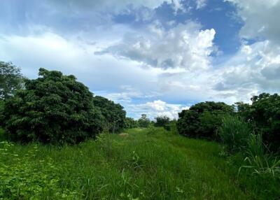 18,681 Sqm. Land listed for ฿ 3,100,000.