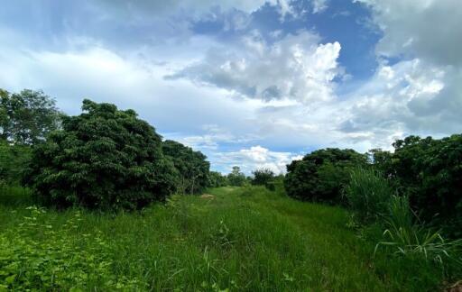 ที่ดิน บ้านแป้น ราคาพิเศษ!