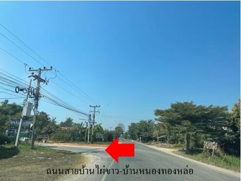 ที่ดิน โพธิ์ทอง ราคาพิเศษ!