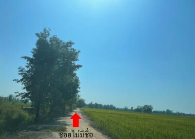 69,760 Sqm. Land listed for ฿ 3,663,000.