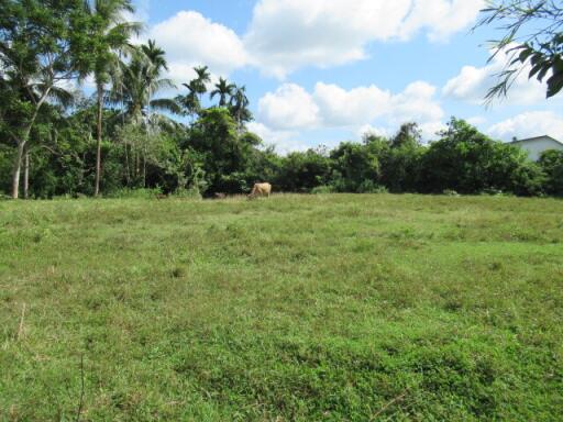 3,174 Sqm. Land listed for ฿ 3,651,000.