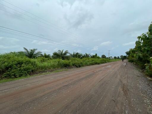 16,948 Sqm. Land listed for ฿ 3,560,000.