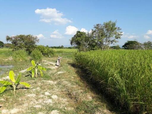 9,676 Sqm. Land listed for ฿ 3,556,000.