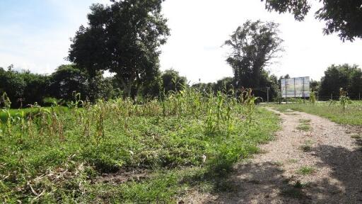 9,676 Sqm. Land listed for ฿ 3,556,000.