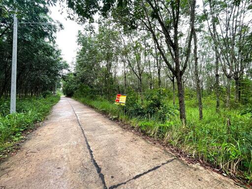 25,680 Sqm. Land listed for ฿ 2,550,000.