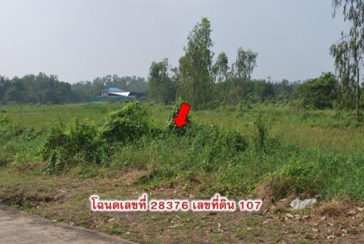 6,612 Sqm. Land listed for ฿ 3,498,000.