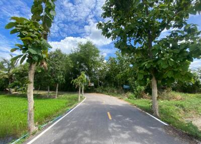 19,020 Sqm., 1 Bed Land listed for ฿ 2,900,000.