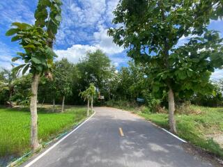 19,020 Sqm. Land listed for ฿ 2,900,000.