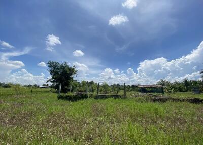 19,020 Sqm. Land listed for ฿ 2,900,000.