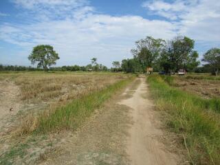 ที่ดิน ในเมือง ราคาพิเศษ!