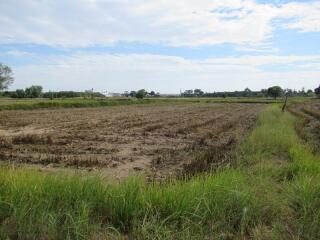 ที่ดิน ในเมือง ราคาพิเศษ!