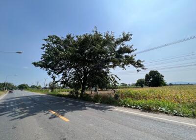 19,886 Sqm. Land listed for ฿ 3,394,000.