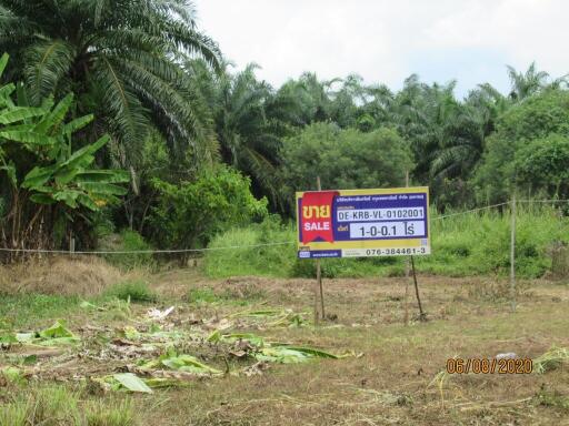 1,600 Sqm., 1 Bed Land listed for ฿ 3,362,000.