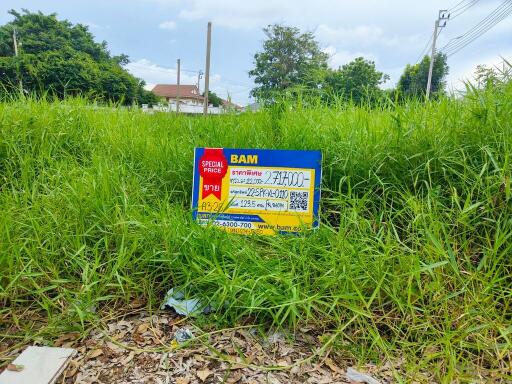 494 Sqm. Land listed for ฿ 2,717,000.