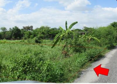 987 Sqm. Land listed for ฿ 3,110,000.