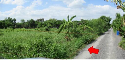 987 Sqm. Land listed for ฿ 3,110,000.