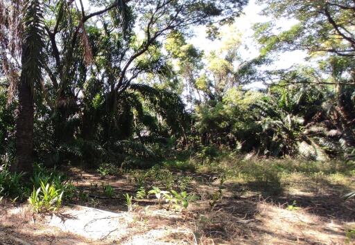 1,330 Sqm. Land listed for ฿ 2,660,800.